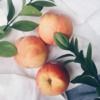 healthbynature